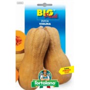 Busta Big Pack Zucca violina