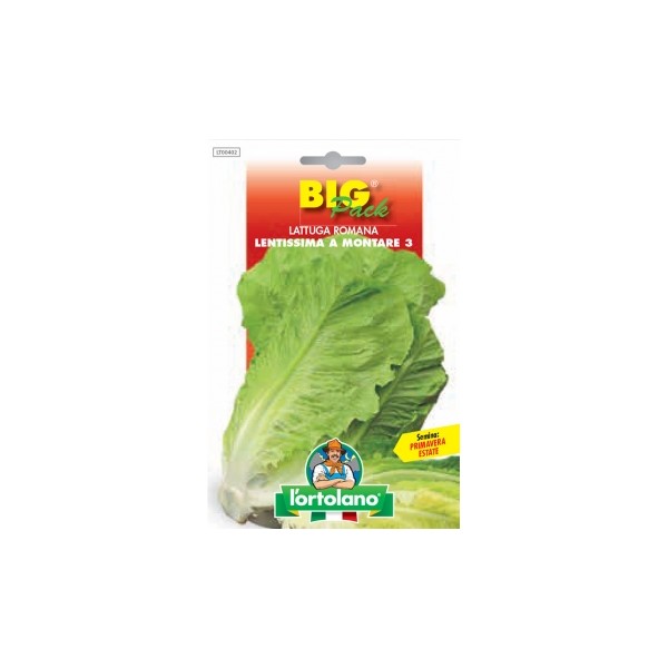 Busta Big Pack Lattuga Romana lentissima a montare 3