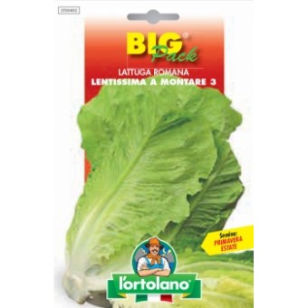 Busta Big Pack Lattuga Romana lentissima a montare 3