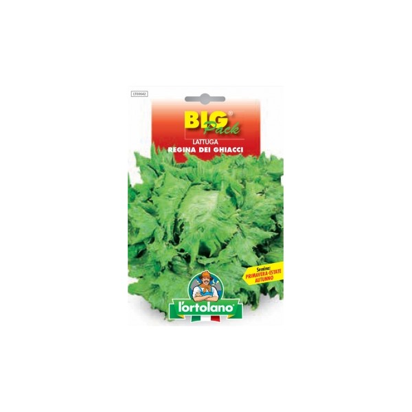 Busta Big Pack Lattuga Regina dei ghiacci