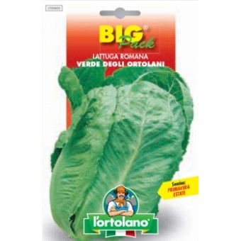 Busta Big Pack Lattuga Romana Verde degli Ortolani