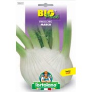 Busta Big Pack Finocchio Marco