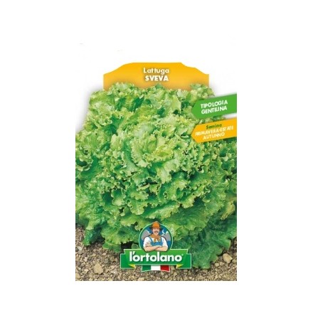 Busta Big Pack Lattuga Sveva Tip.Gentilina