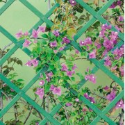 Traliccio estensibile in PVC colore verde 2,0mt x 1,0mt