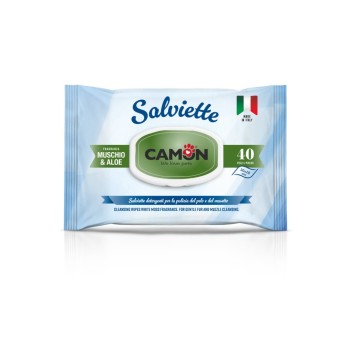 Salviette Detergenti Camon Muschio e Aloe 40pz