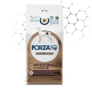 Forza10 Intestinal Colon Fase I 10Kg