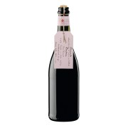 Vino Fiocco di Vite Piemonte Doc Barbera frizzante 75cl