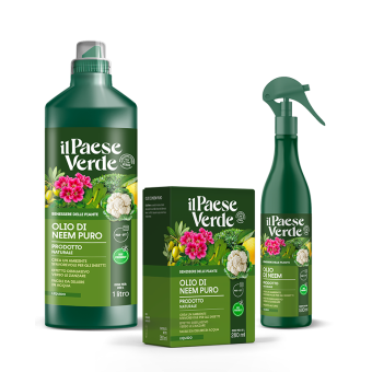 Olio di Neem 1Lt