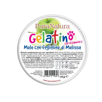 GELATINO ALLA MELA - Gelato per Cani Naturale 120gr