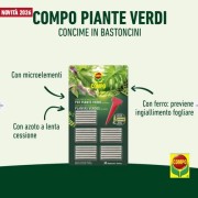 COMPO Concime in bastoncini per Piante Verdi 30pz