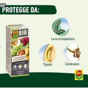 COMPO BIO Insetticida per larve di lepidotteri, Bacillus Chemia PFnPE 5X10g