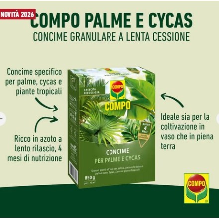 COMPO Concime a Lenta Cessione per Palme e Cycas 850g