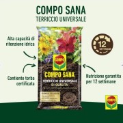 COMPO SANA® Terriccio Universale di Qualitá 5 Lt
