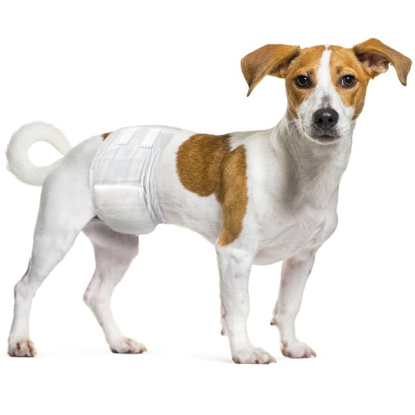 Pannolini neri per Cani Maschi Dipy 12 pz taglia s