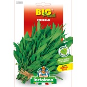 Busta BigPack Stridolo
