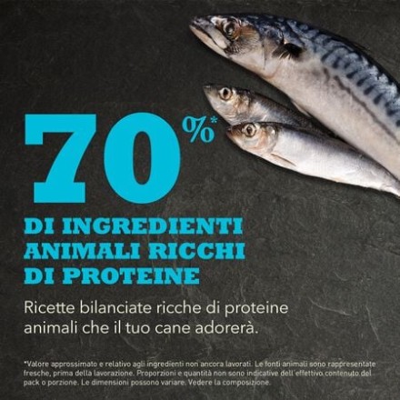 Acana Dog Pacifica 2 kg