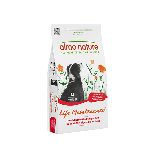 Almo Holistic Maintenance Adult Medium Manzo Fresco 12Kg