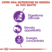 Royal Canin Gatto Sensible 33 10Kg
