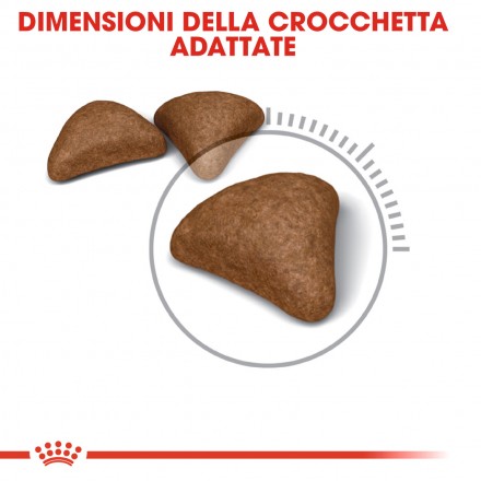 Royal Canin Gatto Hairball Care 2Kg