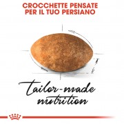 Royal Canin Gatto Persian Adult 4Kg
