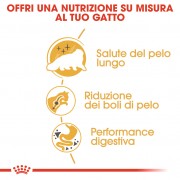 Royal Canin Gatto Persian Adult 4Kg