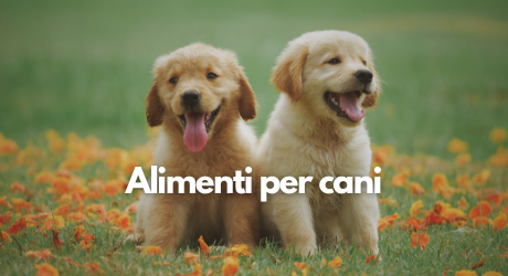 Alimenti per cani