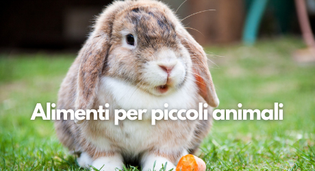 Alimenti per piccoli animali